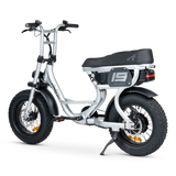 ACE-S Mini Electric Bike