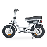 ACE-S Mini Electric Bike