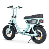 ACE-S Mini Electric Bike