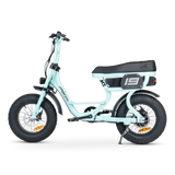 ACE-S Mini Electric Bike
