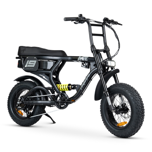 ACE-X Mini PRO Electric Bike
