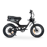 ACE-S PRO Electric Bike