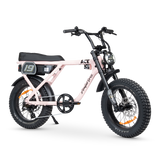ACE Adventure Electric Bike