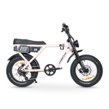 ACE Adventure Electric Bike