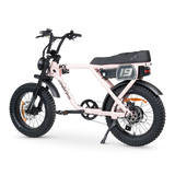 ACE Adventure Electric Bike