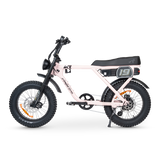ACE Adventure Electric Bike