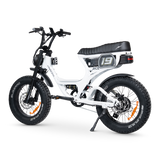 ACE-S PRO Electric Bike