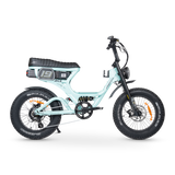ACE-S PRO Electric Bike