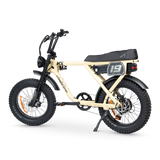 ACE Adventure Electric Bike
