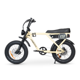 ACE Adventure Electric Bike