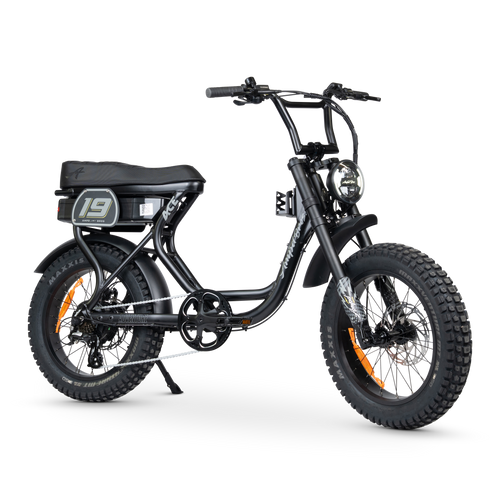ACE Adventure Electric Bike