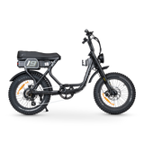 ACE Adventure Electric Bike