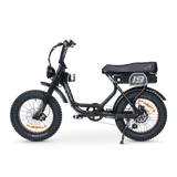 ACE Adventure Electric Bike