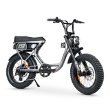 ACE Adventure Electric Bike