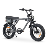 ACE Adventure Electric Bike