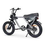 ACE Adventure Electric Bike