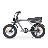 ACE Adventure Electric Bike