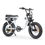 ACE Adventure Electric Bike