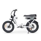ACE Adventure Electric Bike