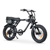 ACE Adventure Electric Bike