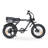 ACE Adventure Electric Bike