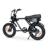 ACE Adventure Electric Bike