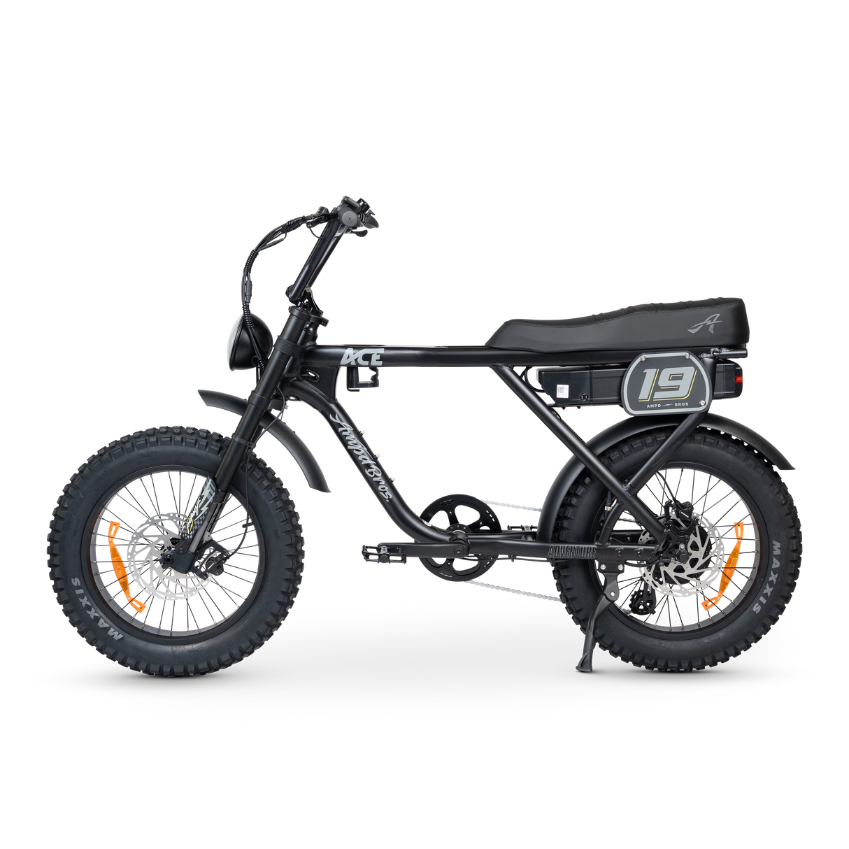 ACE Adventure Electric Bike