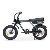 ACE Adventure Electric Bike