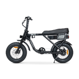 ACE Mini Electric Bike