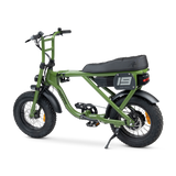 ACE Mini Electric Bike