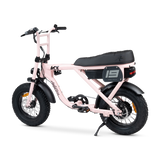 ACE Mini Electric Bike