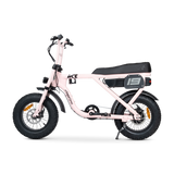 ACE Mini Electric Bike