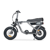 ACE Mini Electric Bike