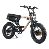 ACE-X Demon Dual Electric Bike