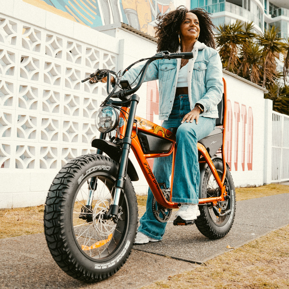 Taipan Electric Bike